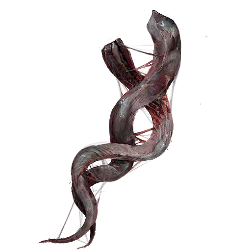 Extracted Specimen