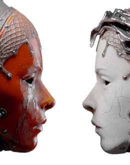 Duality
