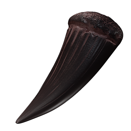 Tooth of Nochte
