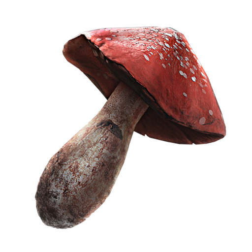 Weltcap